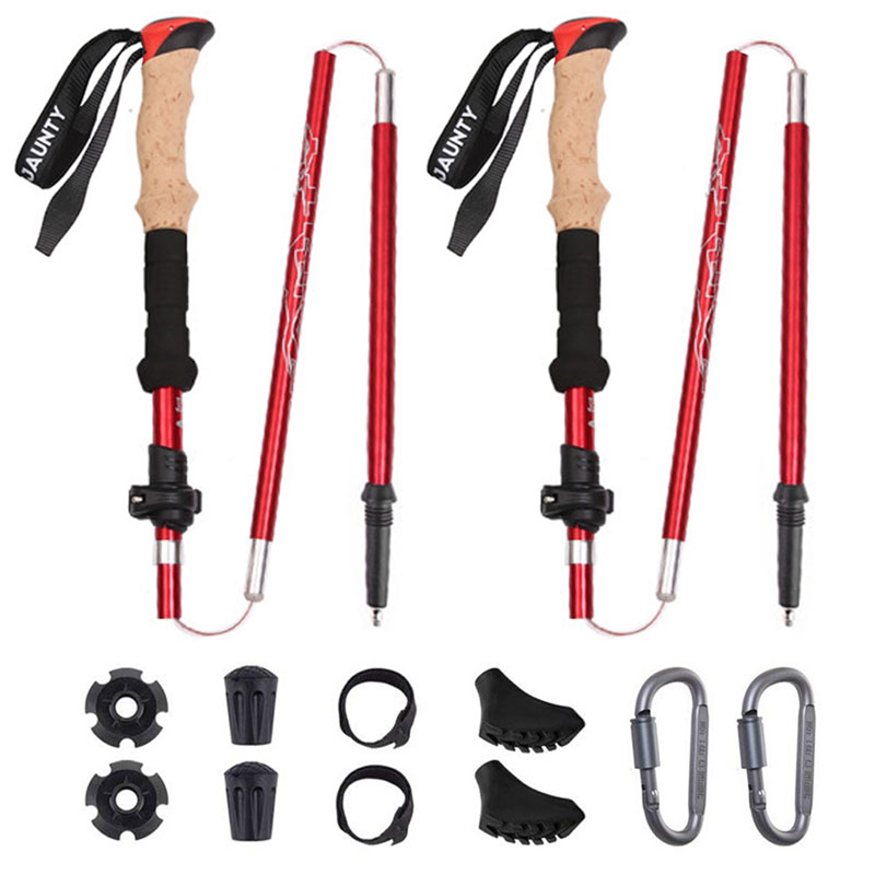 camping-carbon-trekking-poles_509747.jpg