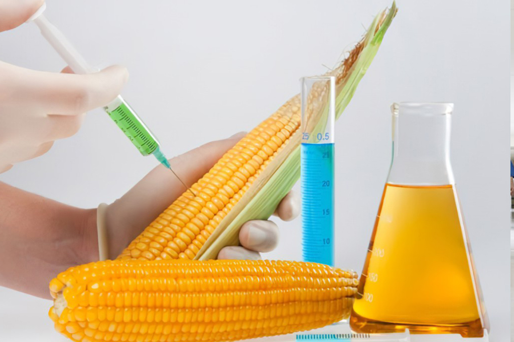 What is an intermediate in biology?What are examples of intermediates?