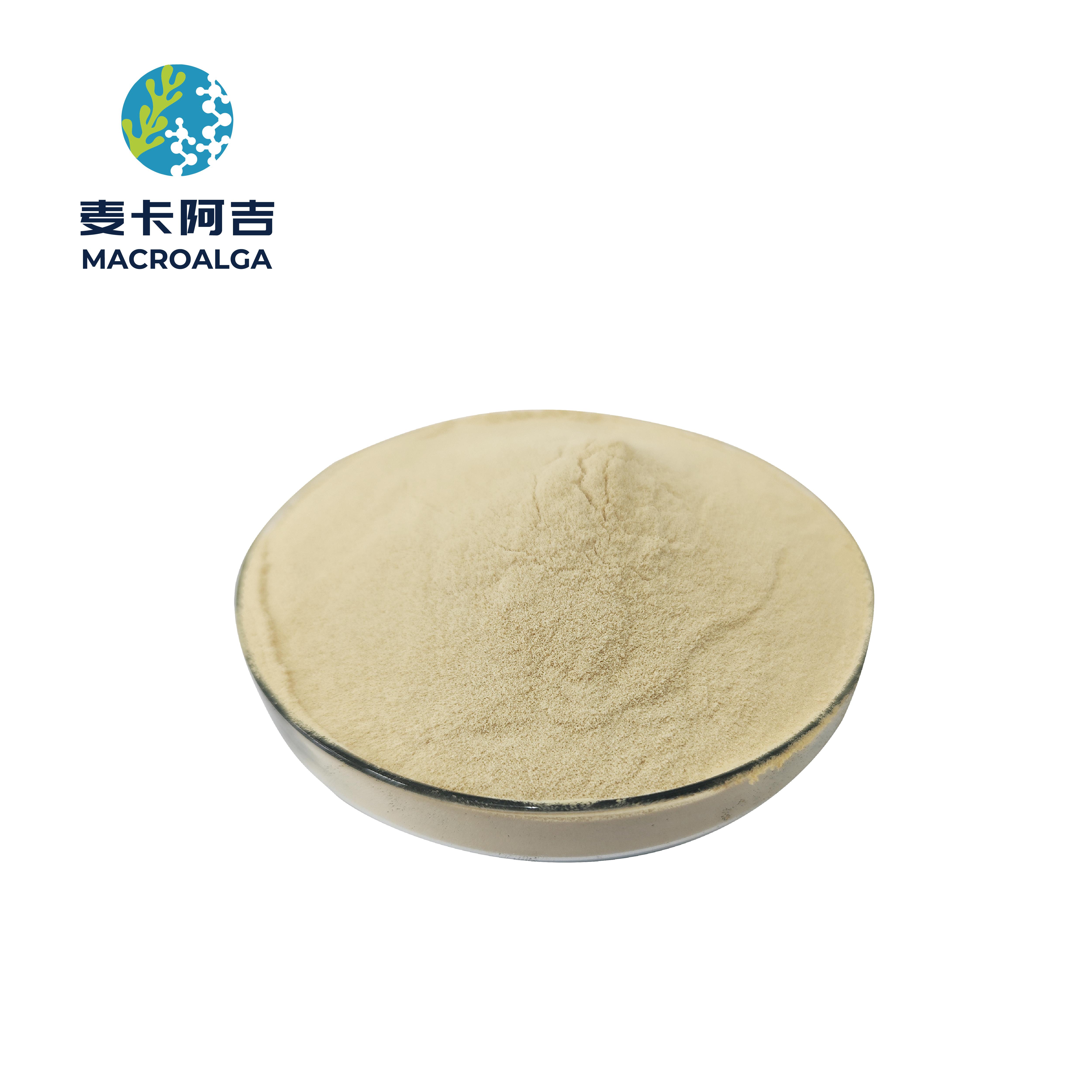 The Most Reliable Protein Hydrolysate Ranking