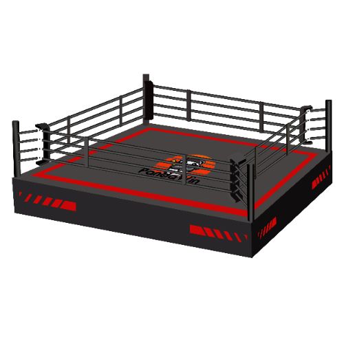 Boxing Ring Service: Premium Installation, Repair, and Customization for Fight Venues